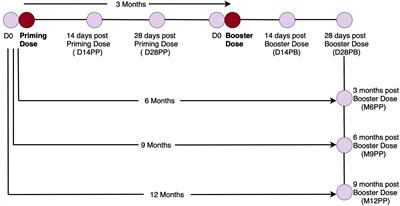 Seroprevalence and durability of antibody responses to AstraZeneca vaccination in Ugandans with prior mild or asymptomatic COVID-19: implications for vaccine policy